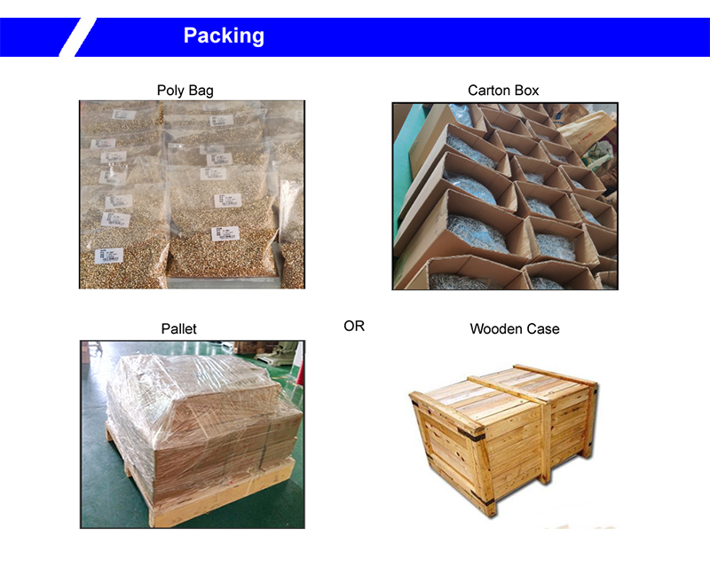 stainless steel solid rivets