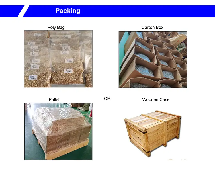 Pan head semi tubular rivets